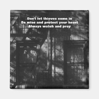 Don't let thieves come in  Magnet