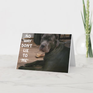 DON'T LIE TO ME YOU CAN'T BE 18!!!! CARD