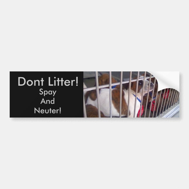 Dont Litter Bumper Sticker (Front)