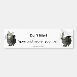 "Don't Litter" tabby cat bumper sticker