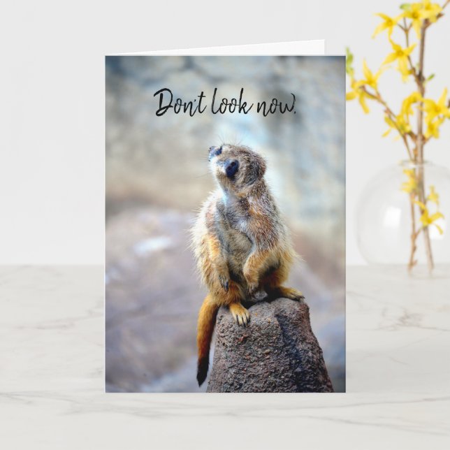 Don't look now - Birthday Card (Yellow Flower)