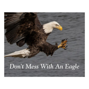 Don't Mess With An Eagle Poster