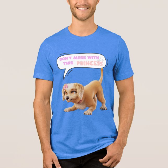 Don't Mess with This Princess Tri-Blend Shirt (Front)