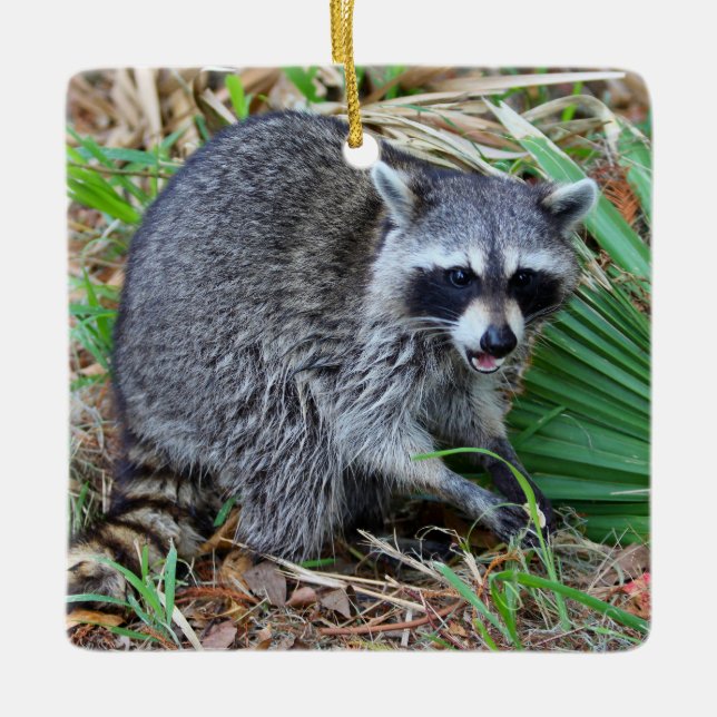 Don't Mind Me, Just Passing Through Ceramic Ornament (Front)