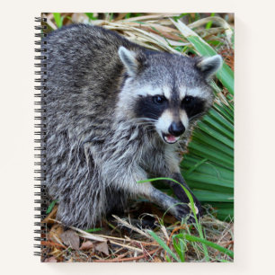 Don't Mind Me, Just Passing Through Notebook