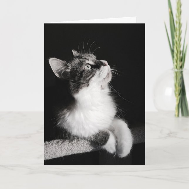 Don't Quit Dreaming Card (Front)