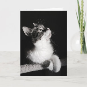 Don't Quit Dreaming Card