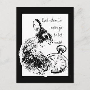 Don't Rush Me, Last Minute, Late Fun Rabbit Postcard