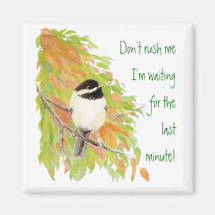 Don't Rush Me Procrastination Fun Bird Humour Magnet
