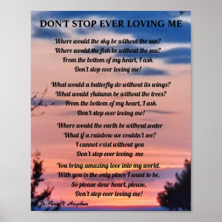 DON'T STOP EVER LOVING ME POSTER