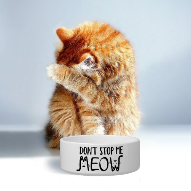 Don't Stop Me Meow | Fun Quote Black White Script Bowl (Creator Uploaded)