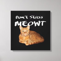 Don't Stress Meowt - Orange Cat Stress Me Out