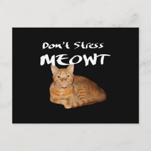 Don't Stress Meowt - Orange Cat Stress Me Out Postcard