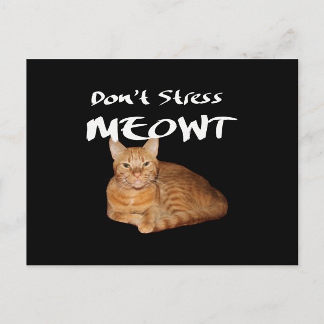 Don't Stress Meowt - Orange Cat Stress Me Out Postcard (Front)