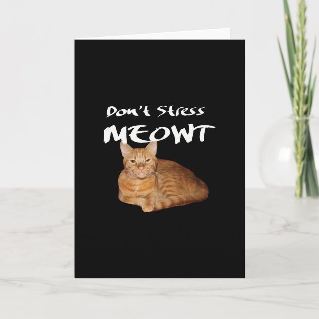 Don't Stress Meowt - Orange Cat Stress Me Out Thank You Card (Front)
