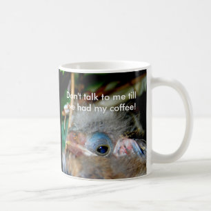 Don't talk to me till I've had my coffee Mug