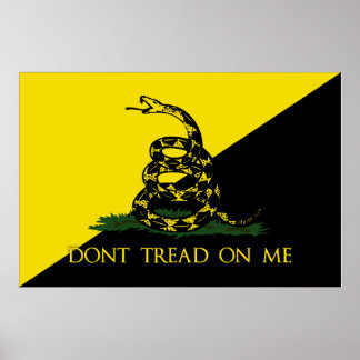 Dont Tread On Me Anarchist Flag Poster