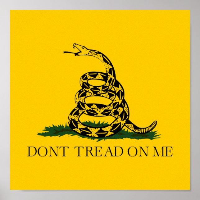 Don't Tread on Me Gadsden Poster (Front)