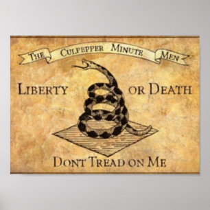 Don't Tread on Me. Poster
