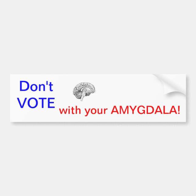 Don't VOTE with your AMYGDALA! Bumper Sticker (Front)