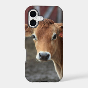 Don't you think I'm Pretty Jersey Cow
