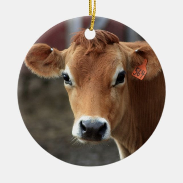 Don't you think I'm Pretty Jersey Cow Ceramic Tree Decoration (Front)