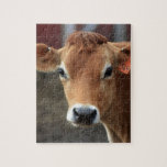 Don't you think I'm Pretty Jersey Cow Jigsaw Puzzle<br><div class="desc">All photos taken by me,  Karrie Remington Photography This photo was taken in the barnyard in upstate NY</div>