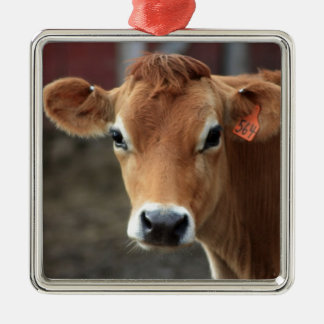 Don't you think I'm Pretty Jersey Cow Metal Tree Decoration