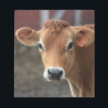 Don't you think I'm Pretty Jersey Cow Notepad<br><div class="desc">All photos taken by me</div>