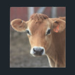 Don't you think I'm Pretty Jersey Cow Notepad<br><div class="desc">All photos taken by me</div>