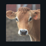 Don't you think I'm Pretty Jersey Cow Notepad<br><div class="desc">All photos taken by me, Karrie Remington Photography This photo was taken in the barnyard in upstate NY</div>