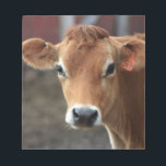 Don't you think I'm Pretty Jersey Cow Notepad<br><div class="desc">All photos taken by me,  Karrie Remington Photography This photo was taken in the barnyard in upstate NY</div>