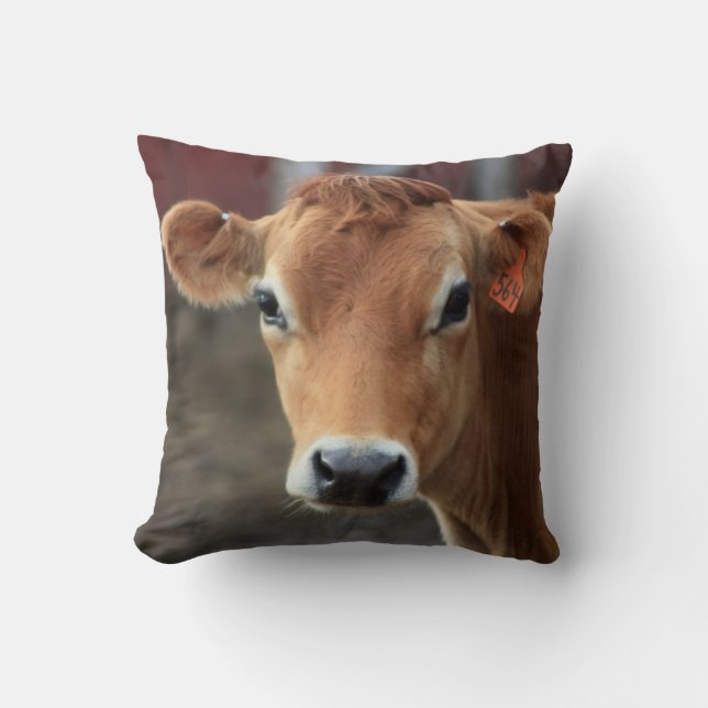 Don't you think I'm Pretty Jersey Cow Pillow (Front)