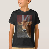 Don't you think I'm Pretty Jersey Cow