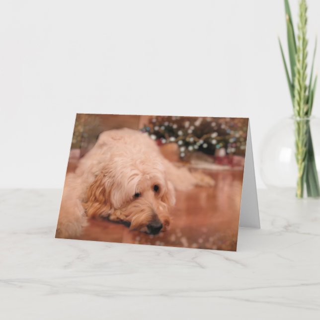 Doodle Christmas card (Front)