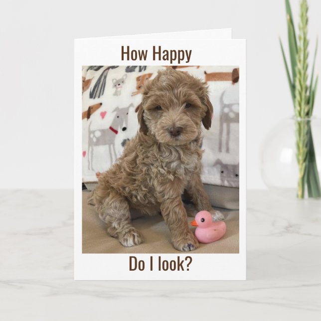 DOODLE PUP WISHES YOU A **A LATE HAPPY BIRTHDAY** CARD (Front)