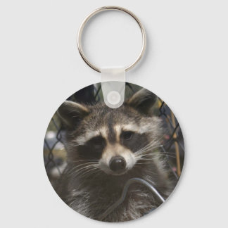 doodles 759 key ring