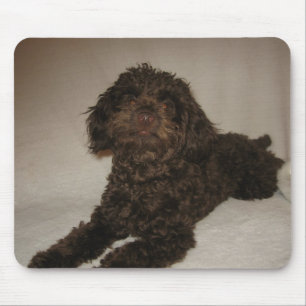 doogy mousepad