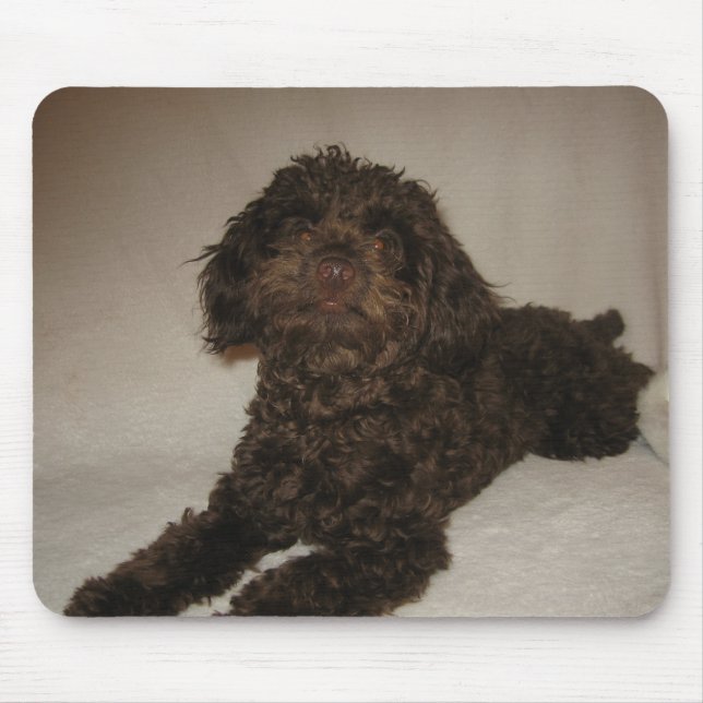 doogy mousepad (Front)