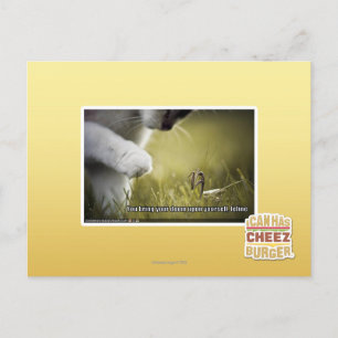 Doom upon yourself postcard