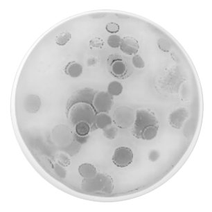 DOOR CERAMIC PULL ART DESIGN  STYLE 