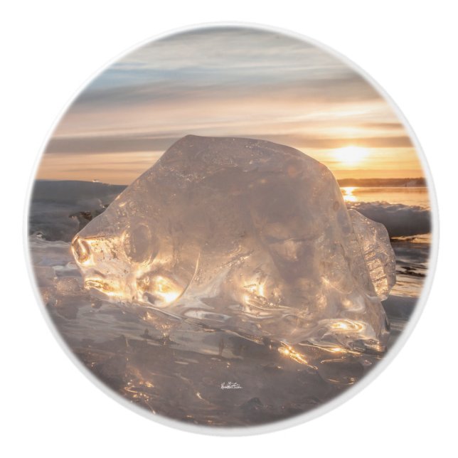 door handle, photo ice in the shape of a fish ceramic knob (Front)