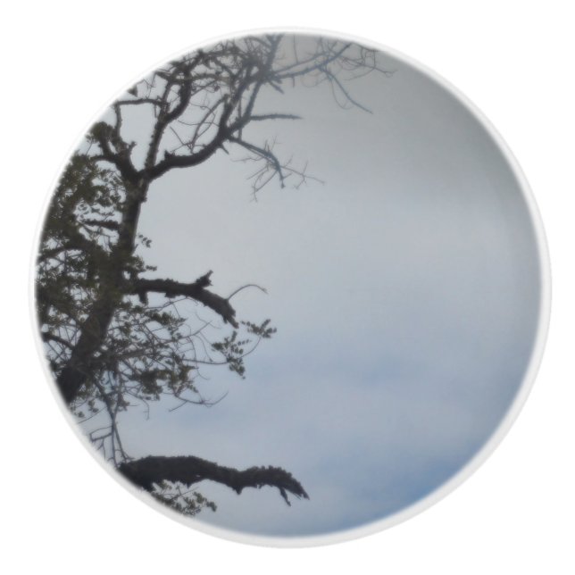 DOOR PULL CERAMIC STYLE DESIGN (Front)