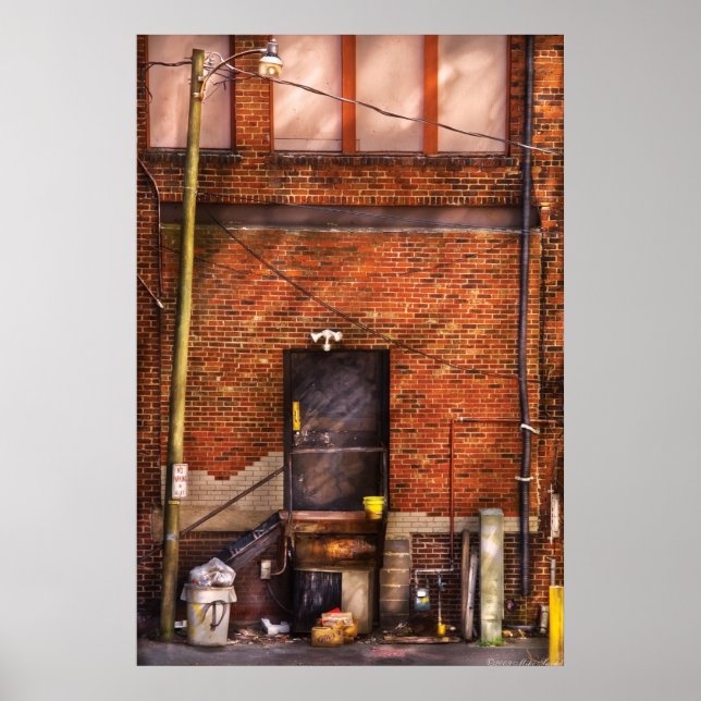 Door - The back door Poster (Front)