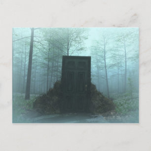 Doors to Nowhere 1 Postcard