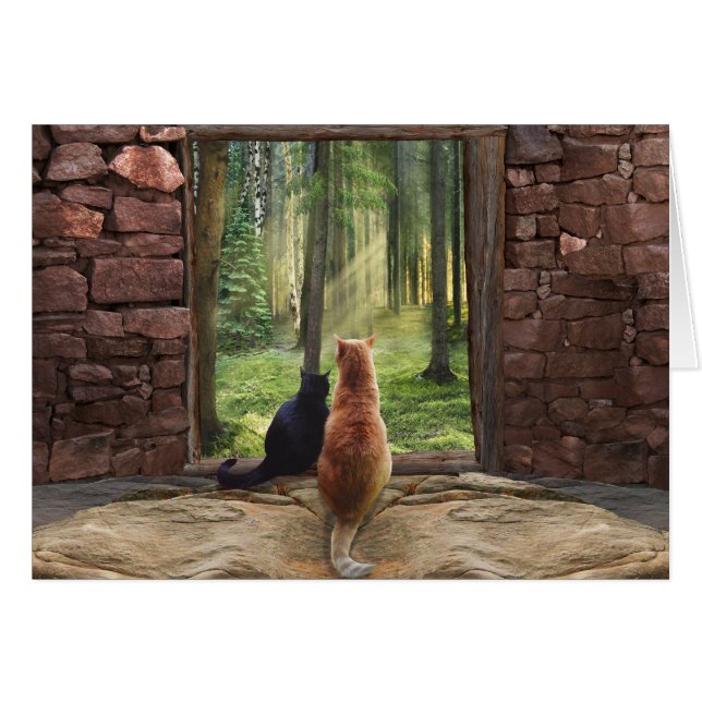 Doorway into Forever (Front Horizontal)