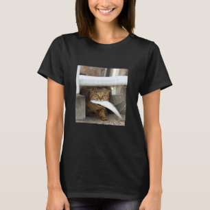 dora cat2_001 T-Shirt
