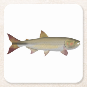 Dorado Square Paper Coaster