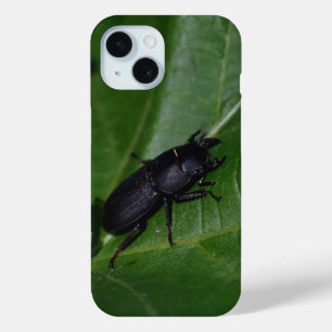 Dorcus parallelipipedus , the lesser stag beetle iPhone 15 case