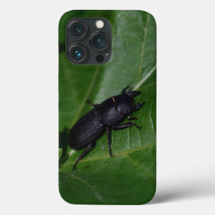 Dorcus parallelipipedus , the lesser stag beetle iPhone 13 pro case